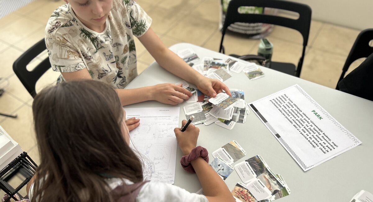 Jak probíhá edukace Jak probíhá edukace