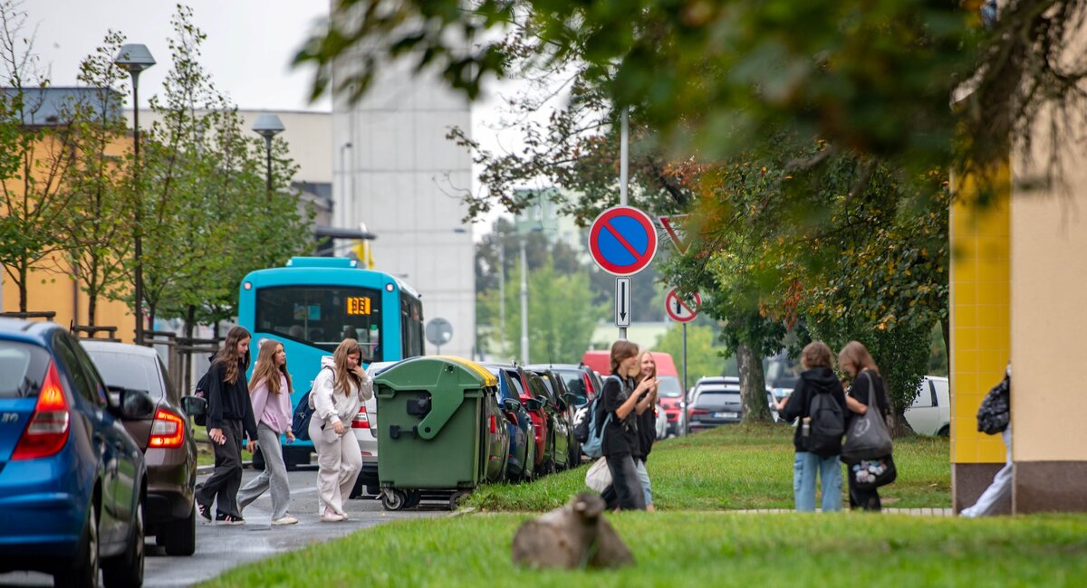 Proč školní ulici zavádíme 