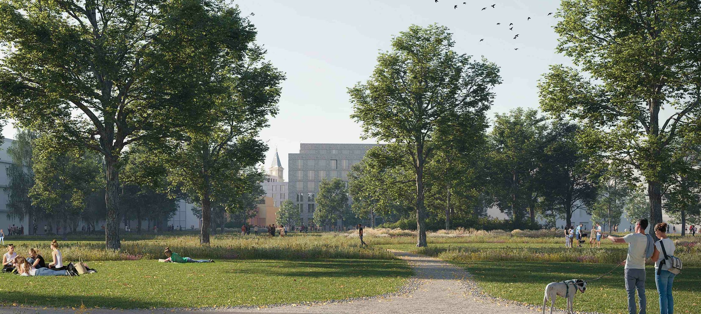 Proměna Černé louky se blíží - projekt připravuje ostravský Atelier 38