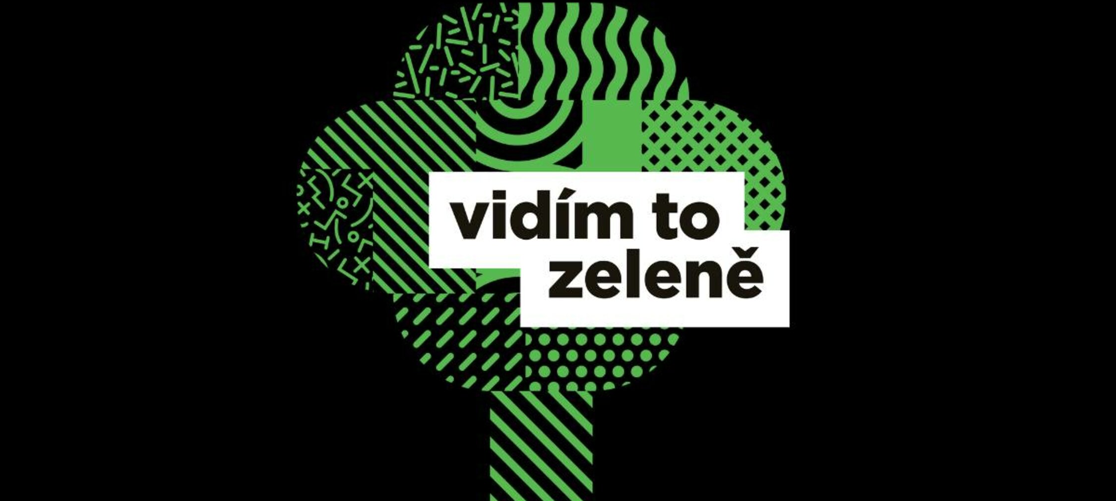 Jaká má být zeleň v Ostravě? Definovali jsme základní principy pro připravovanou Koncepci zeleně.