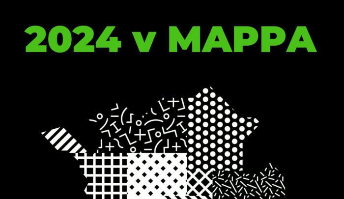 Rok 2024 v MAPPA byl plný spolupráce a důležitých milníků. Pojďte si je s námi připomenout.