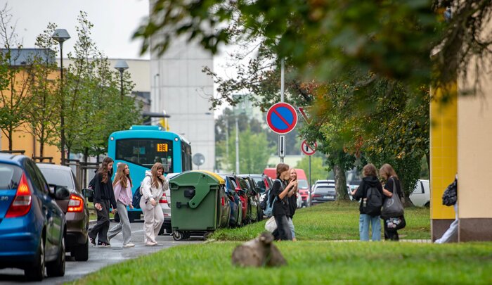 projekt