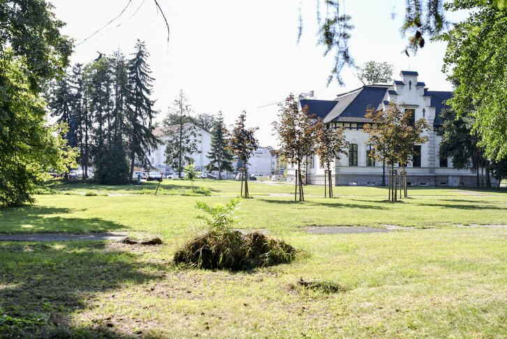 Obsahový blok Obsahový blok