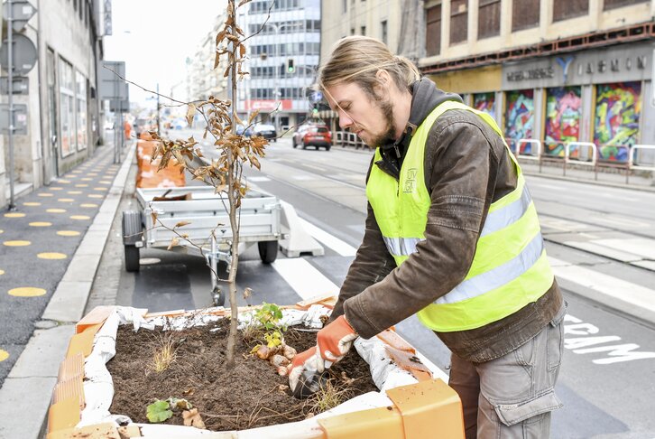 Obsahový blok Obsahový blok